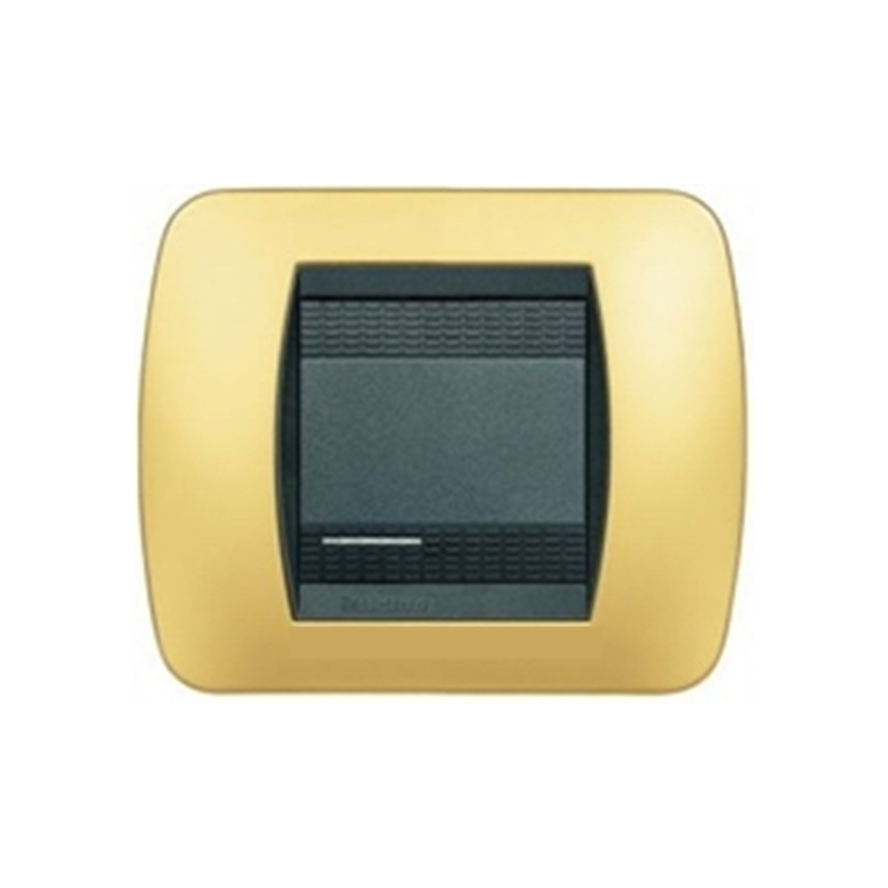 Placca 2 Posti Living International Oro Satinato - BTICINO LEGRAND L4802OS