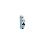 Interruttore Magnetotermico 1P+N C32 1M 4500A EPC451N - COD. HERD692789
