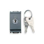 PULSANTE 2P NO 16A CON CHIAVE GRIGIO - VIW 16185
