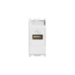 PRESA USB BIANCO - VIW 14345