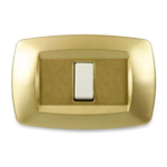 PLACCA MODI' 1P. OTTONE OPACO - MAS MD241